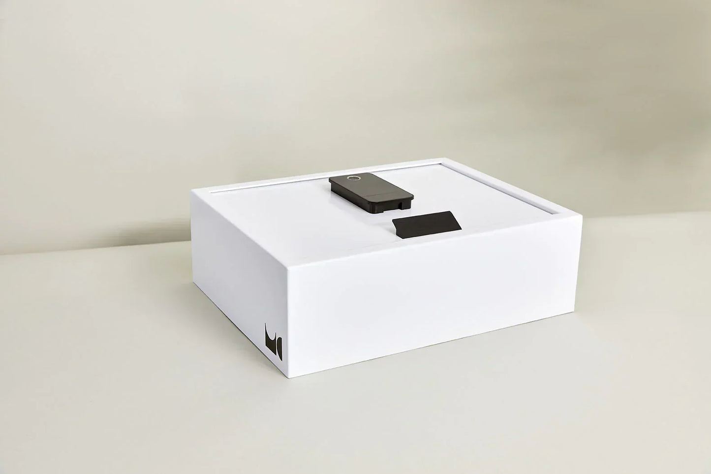 BIOCUBE MINI BIOMETRIC SAFE
