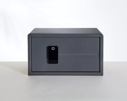 BIOCUBE BIOMETRIC SAFE