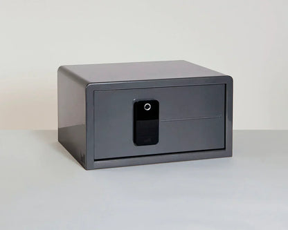 BIOCUBE MINI BIOMETRIC SAFE