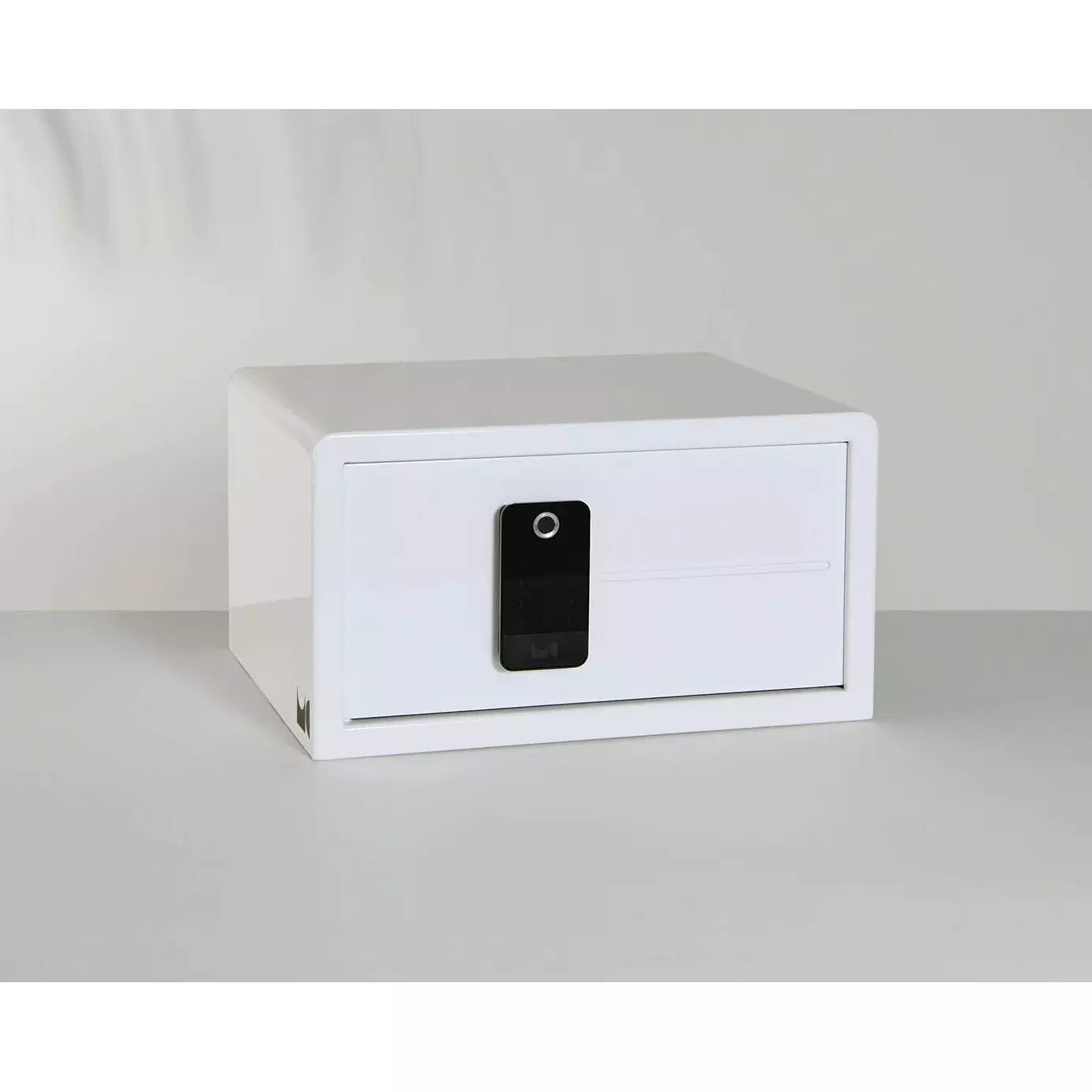 Biocube Mini Biometric Safe