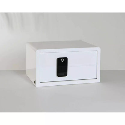 Biocube Mini Biometric Safe