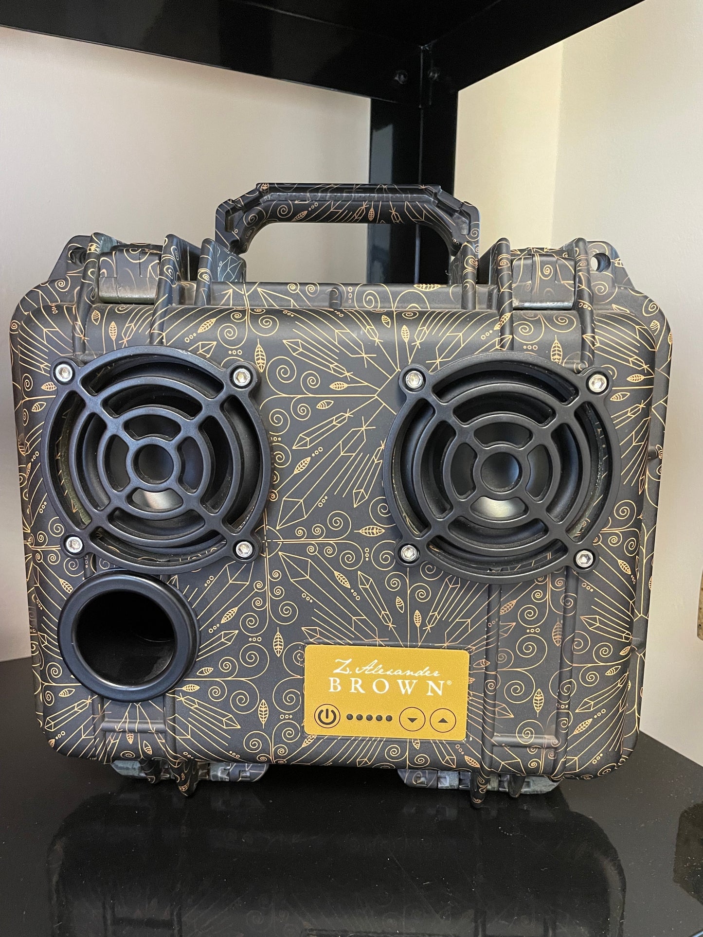 DEMERBOX DB2 PELICAN CASE SPEAKER